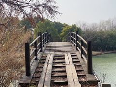 -苏州太湖国家湿地公园