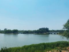 -大兴滨河森林公园