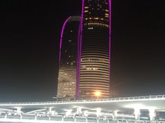 -演武大桥观景平台