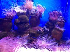 -多彩贵州城极地海洋世界