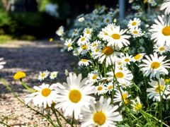 -昆山城市生态森林公园