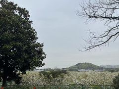 -树山生态村