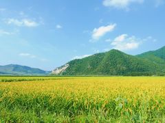 -五女山景区