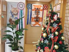 -猫十亿·布偶金渐层·曼基康矮脚猫舍(青年路店)