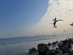 -深圳湾公园(南山区)
