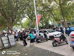 -镇南锅盖面馆(解放路店)