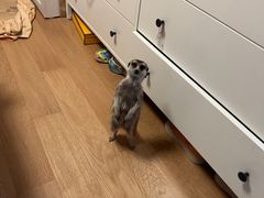 -敦煌山庄摘星阁