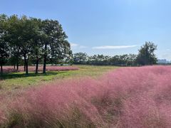 -汉长安城未央宫国家考古遗址公园