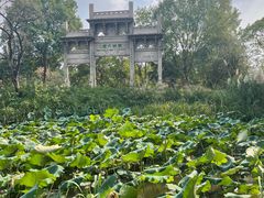 -西溪国家湿地公园