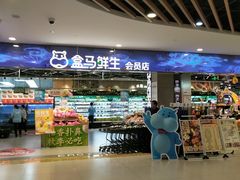 门面-盒马鲜生(宝地店)