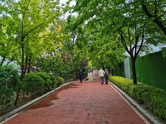 -马栏河运动公园