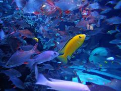 -成都浩海立方海洋公园