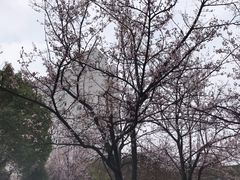 -孝子祠公园