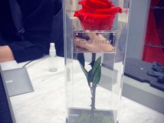 -ROSEONLY诺誓(青岛万象城店)