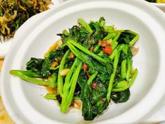 -老长春肉馆(创业大街店)