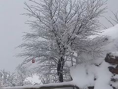 -崂山巨峰游览区