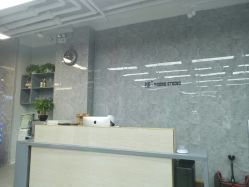 -INS羽毛接发·巴黎画染