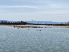 -野鸭湖国家湿地公园