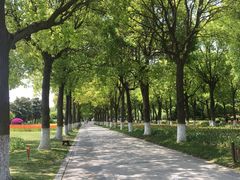 -上海鲜花港