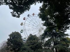 -红山森林动物园