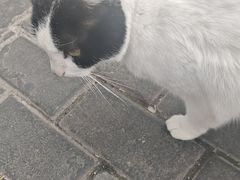 -梅记大块头爆鱼店(乍浦路店)