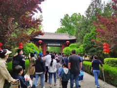 -大槐树寻根祭祖园