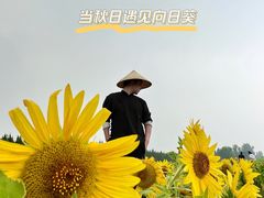 -汉长安城未央宫国家考古遗址公园