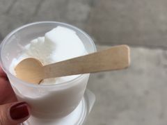 -洪馨椰子