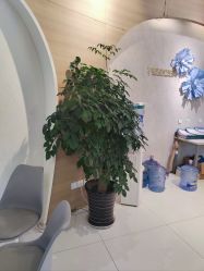 -素美医疗美容·西南眼鼻整形·修复基地