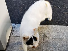 -古韵餐厅(湖畔大学店)
