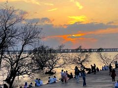 -宝安西湾红树林湿地公园