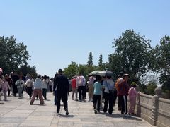 -赵州桥景区