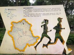 -顺峰山公园