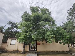-西柏坡红色胜典景区