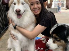 -TrueLove @ Neverland (Husky Cafe)