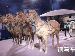 -秦始皇帝陵博物院(兵马俑)