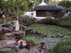 -上海醉白池公园