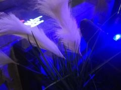 -绿茶餐厅(燕郊永旺店)