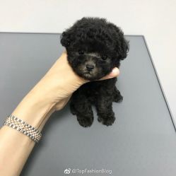 -星耀美业·品质网购