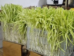 -尤素福东举院饺子馆