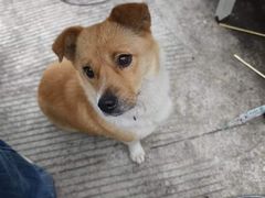 -泰顺江南春面馆