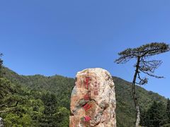 -姑婆山旅游区