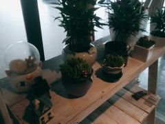 -赢吧Bliss音乐酒吧