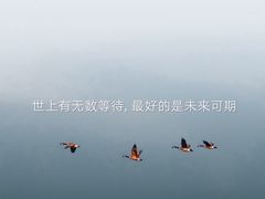 -张大师鸭爪爪特色火锅(万达店)