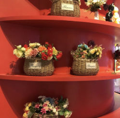 -LuckyStar幸运星家庭娱乐中心(东莞国贸店)