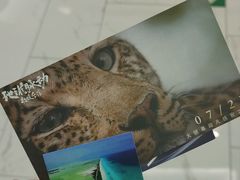 -中影国际影城(东方新天地CINITY店)