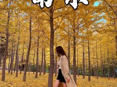 -南京银杏湖乐园