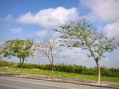 -南汇嘴观海公园