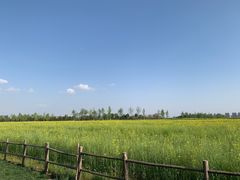 -汉长安城未央宫国家考古遗址公园