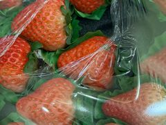 -Dark Horse·黑马蛋糕·低脂·低糖淡奶(金匙望湖大厦店)